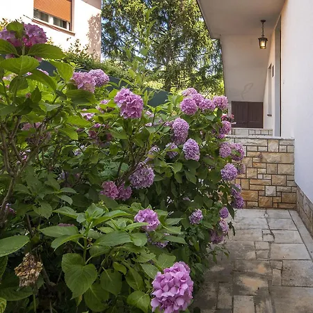 Apartment Renata Umag